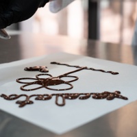 Workshop 'Chocolate Artists'