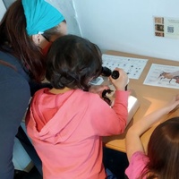 Taller 'Natura de prop - Terrat Viu'