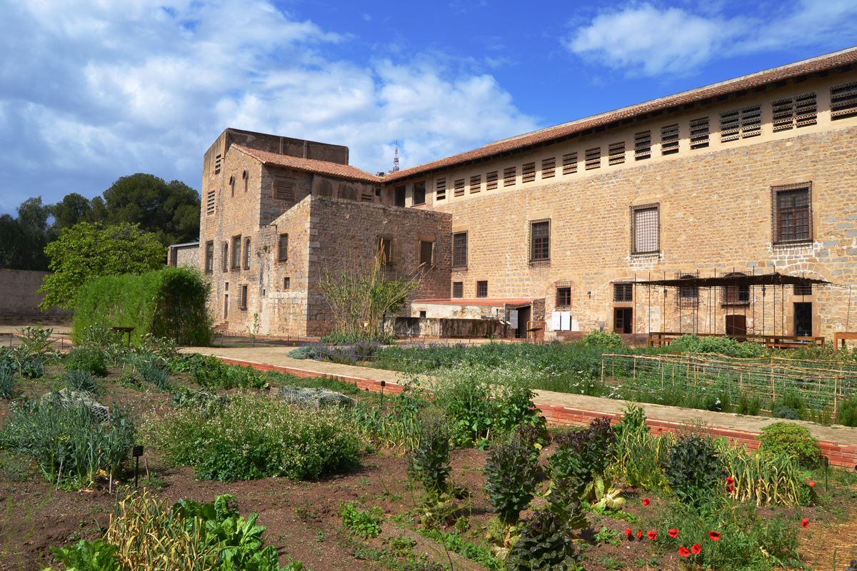 Visita i taller "Herbarius. Plantes remeieres de l'hort medieval"