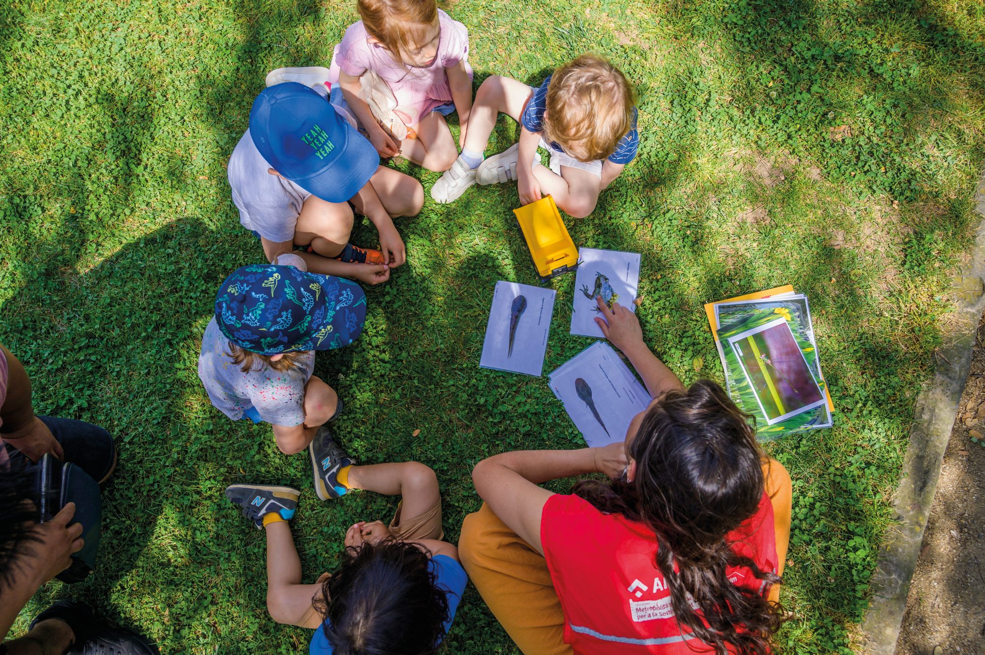 Jugatecambiental: Les alzines del Jardí Botànic