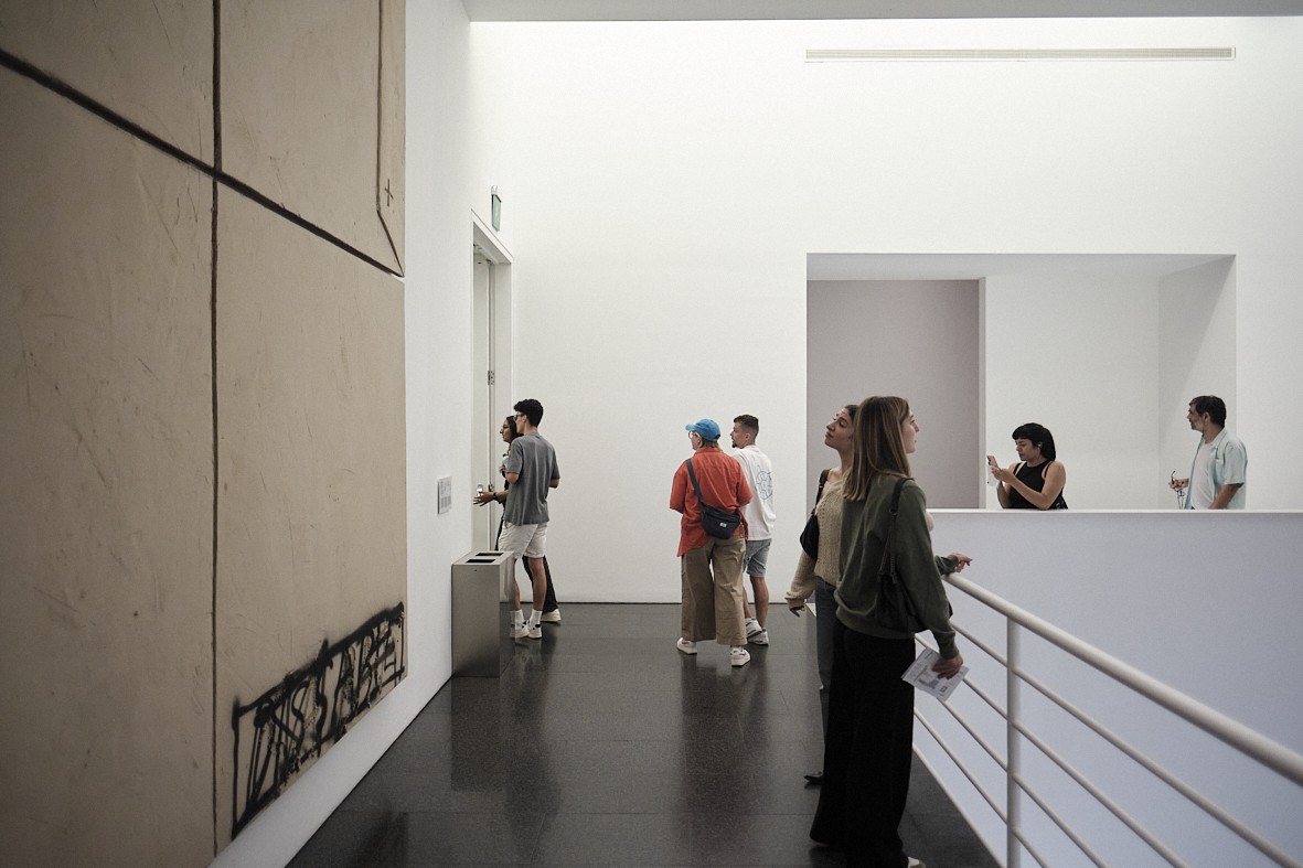 Visites comentades a "Com una dansa d’estornells". Col·lecció MACBA: Trenta anys i infinites formes de ser