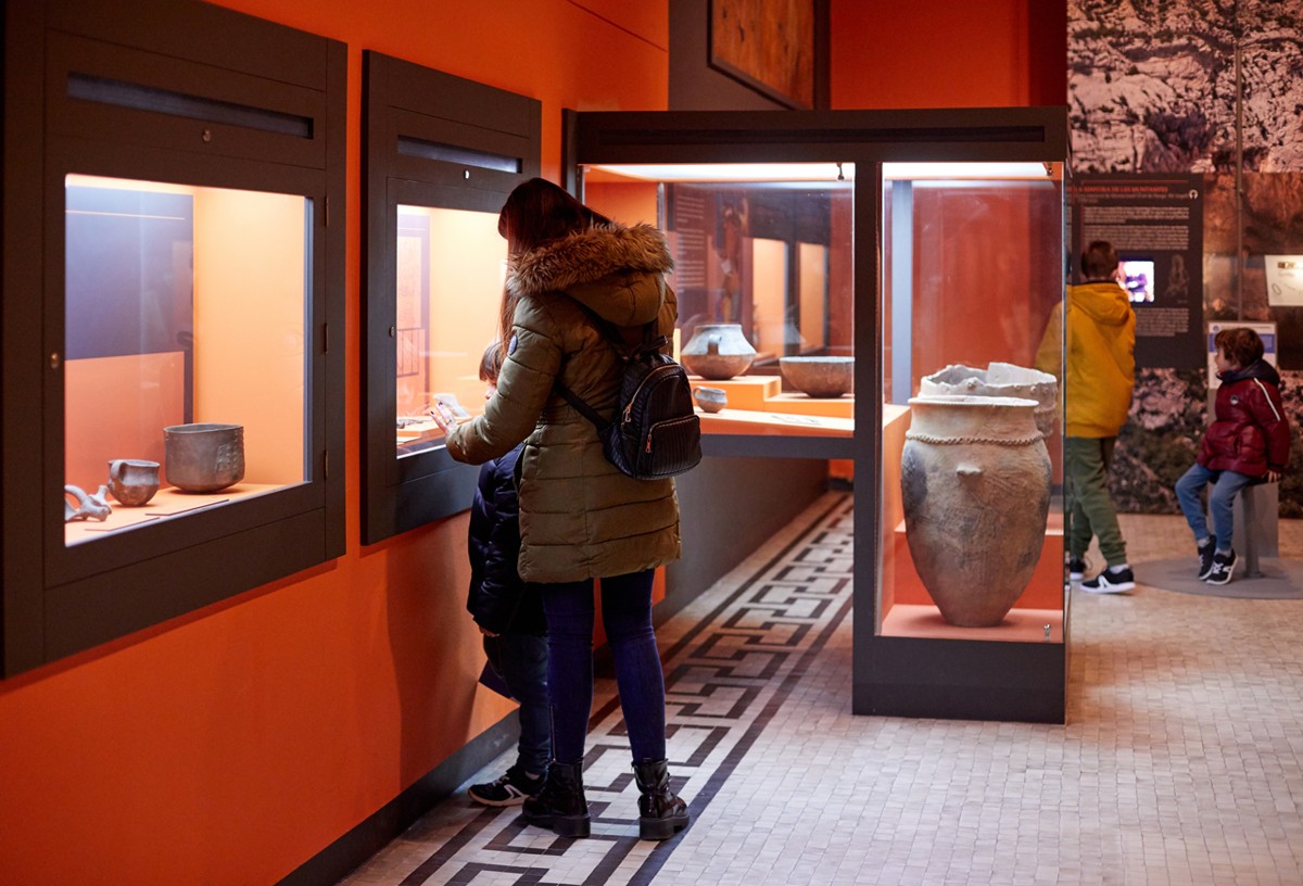 Visita guiada 'Orígens: la prehistòria'
