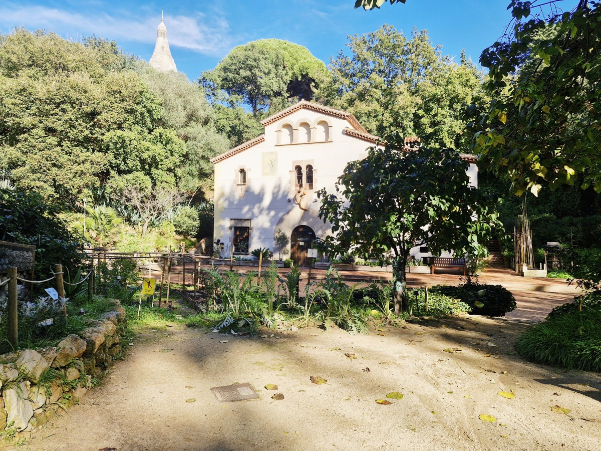 Visit and workshop 'The treasure of seeds. Discovering the Historic Botanical Garden of Barcelona'