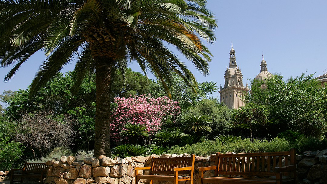 El Parc de Montjuïc | Meet Barcelona