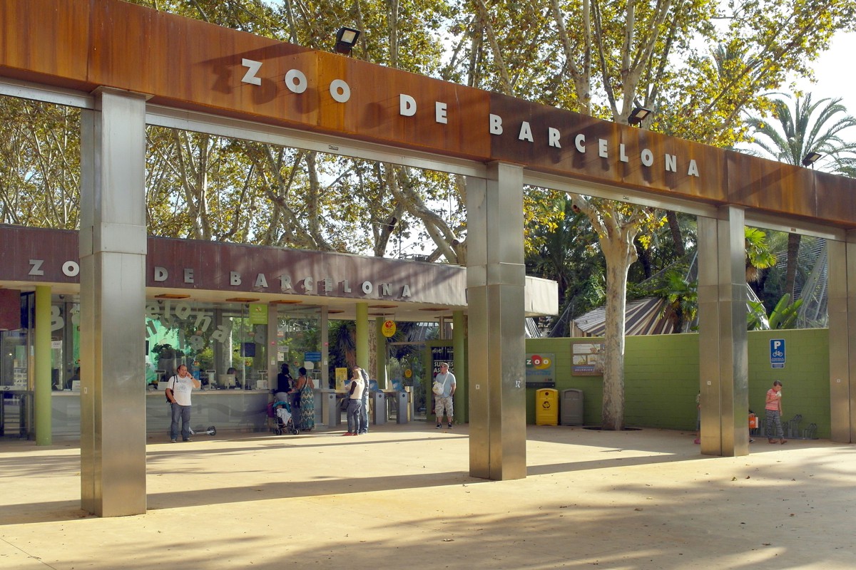 El Zoo de Barcelona | Meet Barcelona