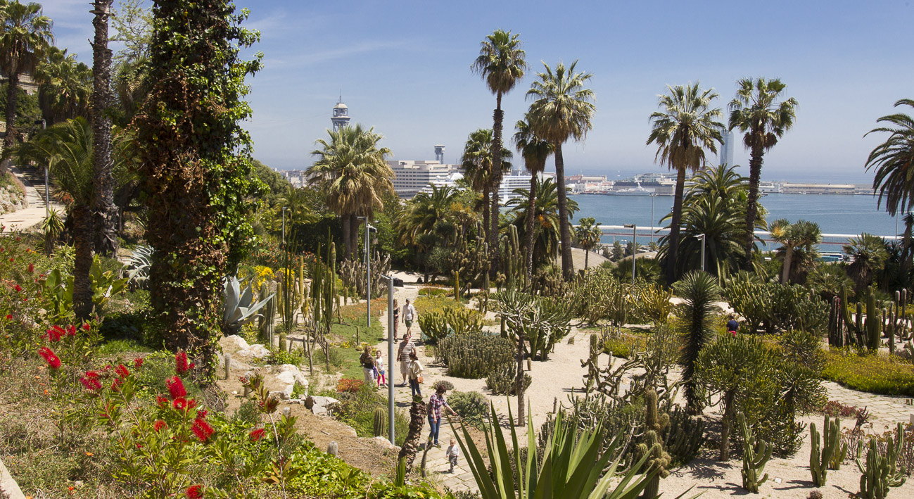 Jardins de Mossèn Costa i Llobera | Barcelona website