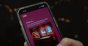 Joc 'Vist i no vist: a la recerca de l'animal invisible'