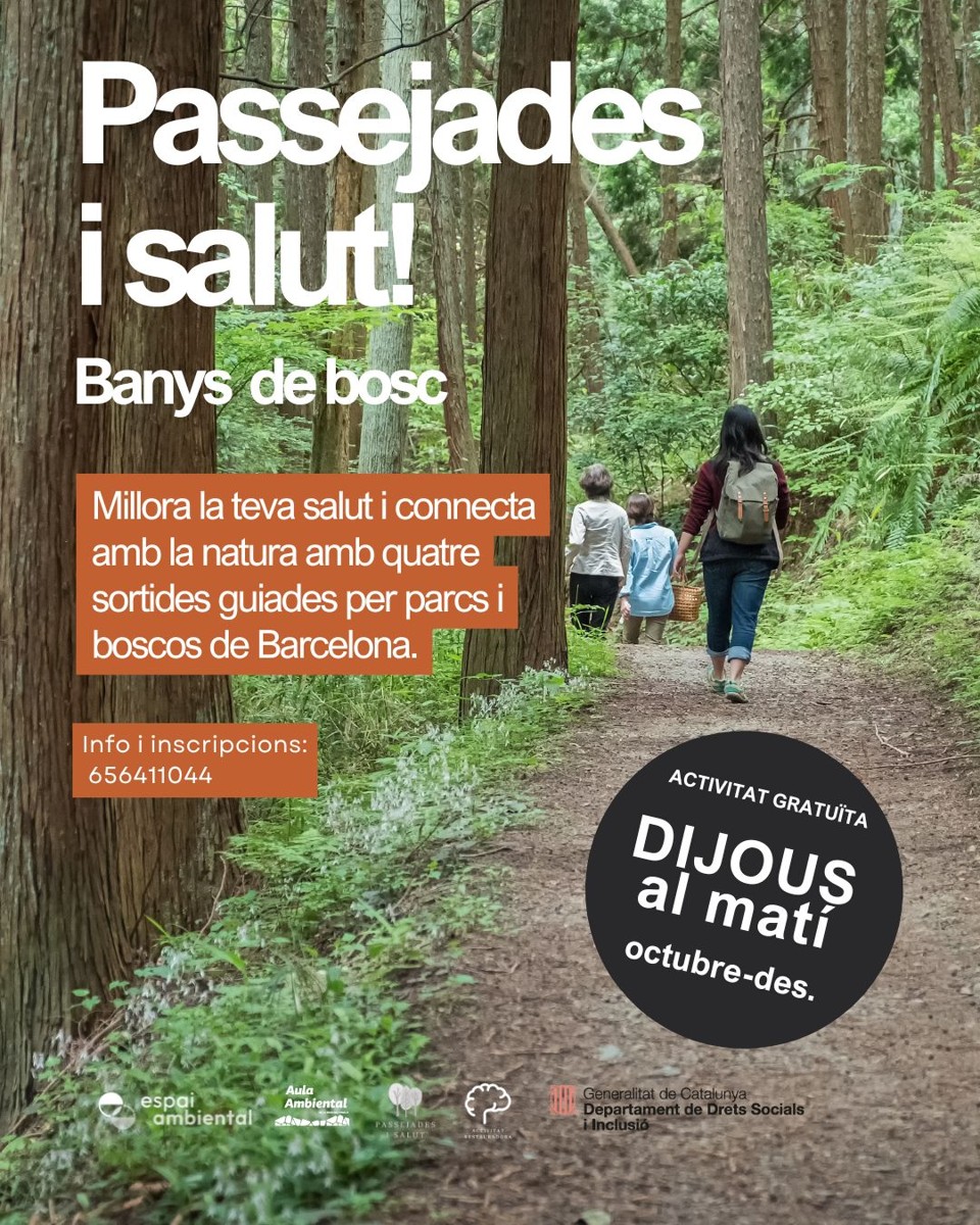 Walks and health! Forest baths for caregivers