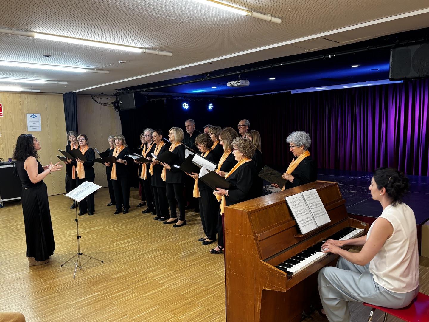 Concert performance