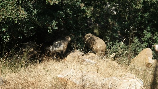 Exposició "Who Is Afraid of Ideology? Part 5 DayDream"