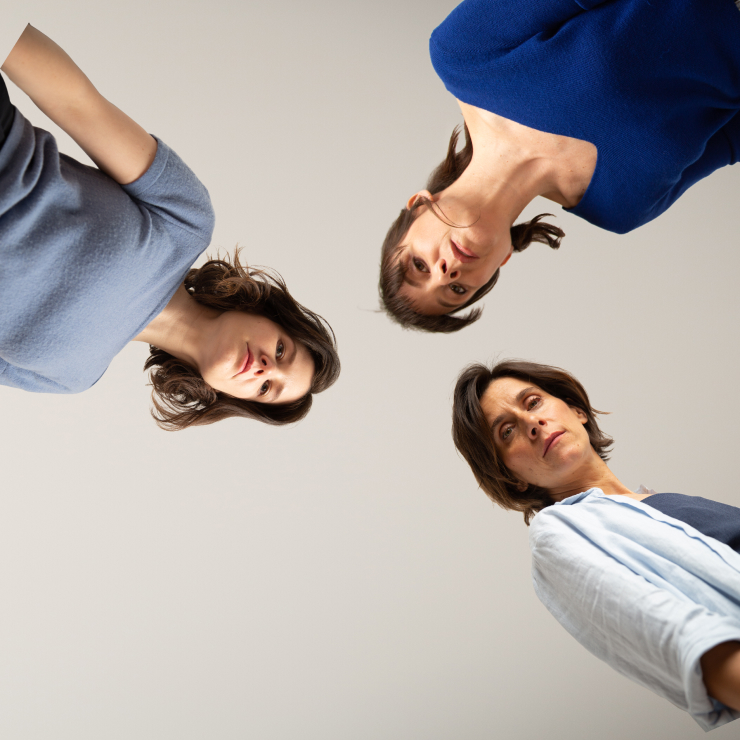 Espectacle "Anatomia d'un suïcidi"