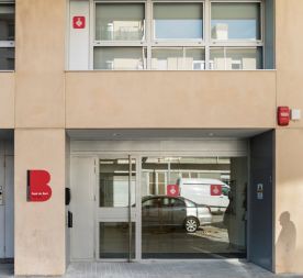 Taller 'Curtmetratges amb el mòbil'
