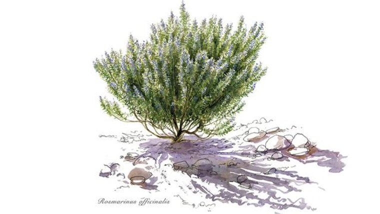 Image for Taller 'Les espècies botàniques del Bosc vertical' at CaixaForum Barcelona