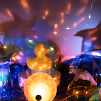 Open workshop 'Creactivity. Explore with Light'