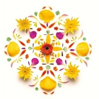 Concierto de Cuarteto Clásico