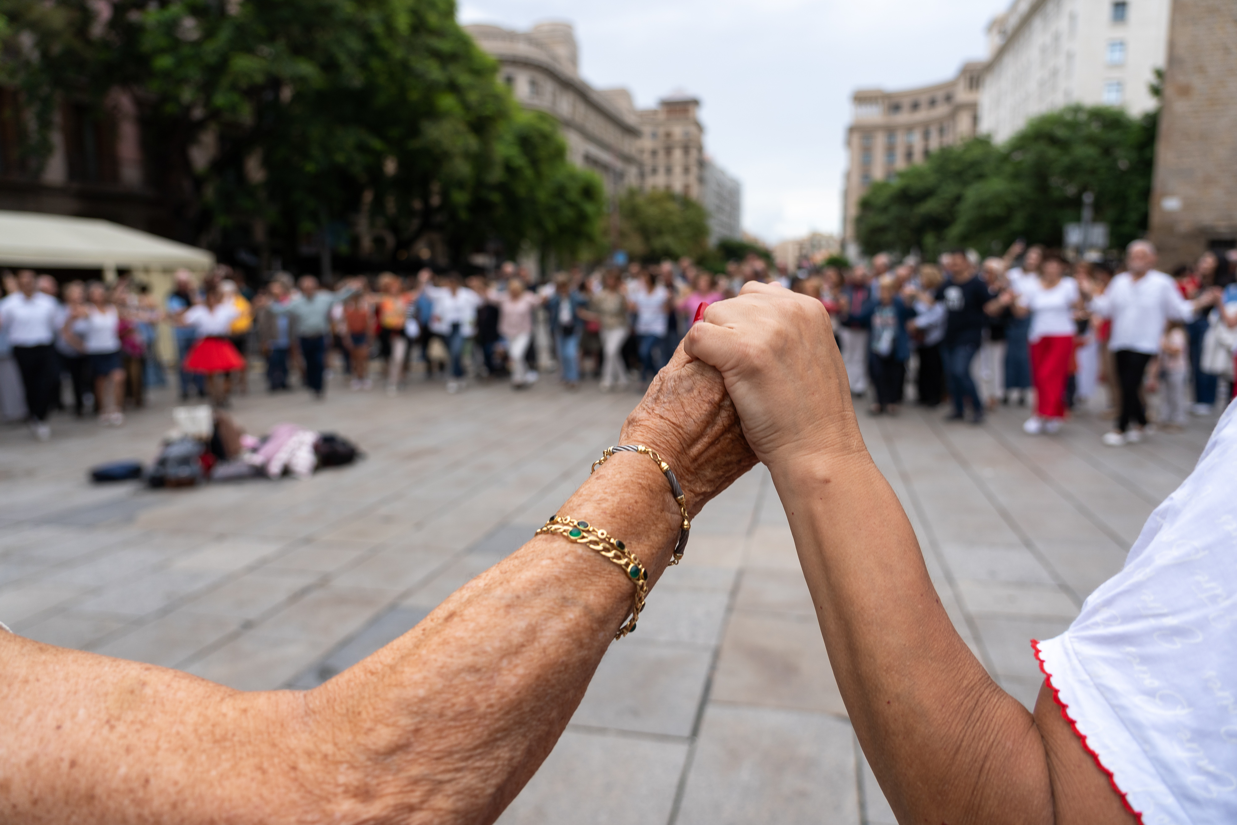 Sardanes inaugurals amb la Cobla Sant Jordi - Ciutat de Barcelona