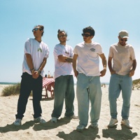 Concert 'Banda Neon'