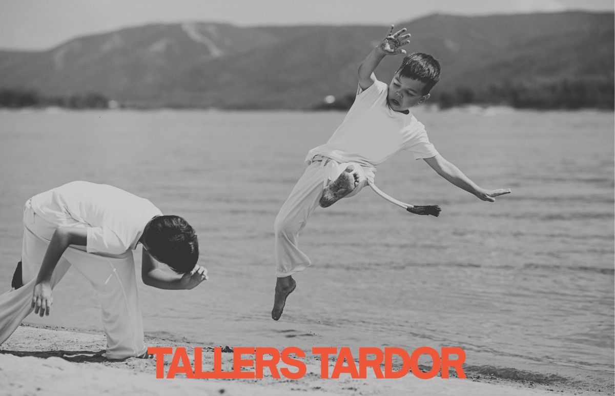 Workshop 'Children's Capoeira'