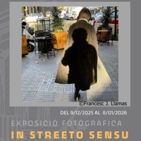 Exposició de Fotografia de Carrer: 'In Streeto Sensu'