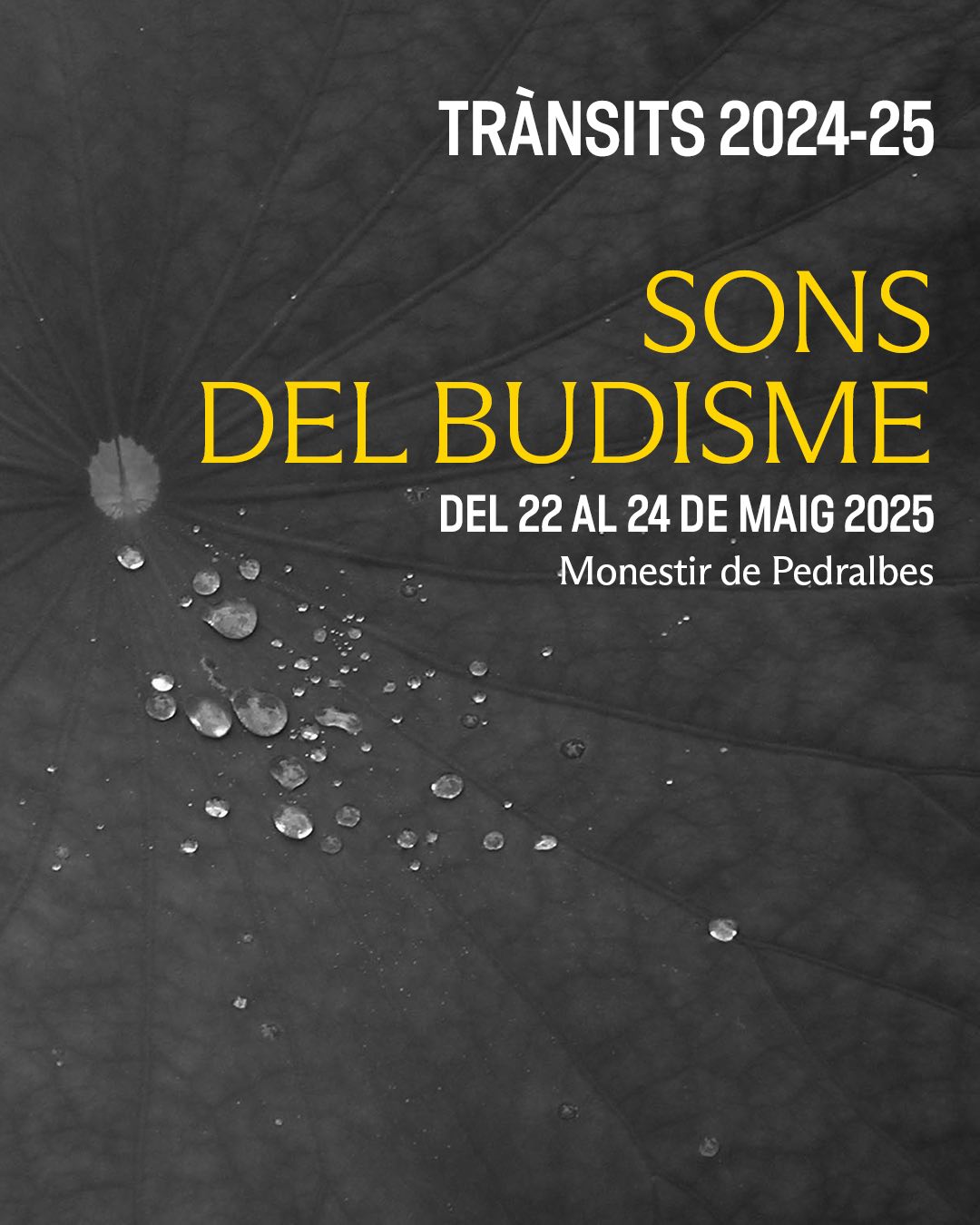 Jornades “Sons del budisme” al Monestir de Pedralbes