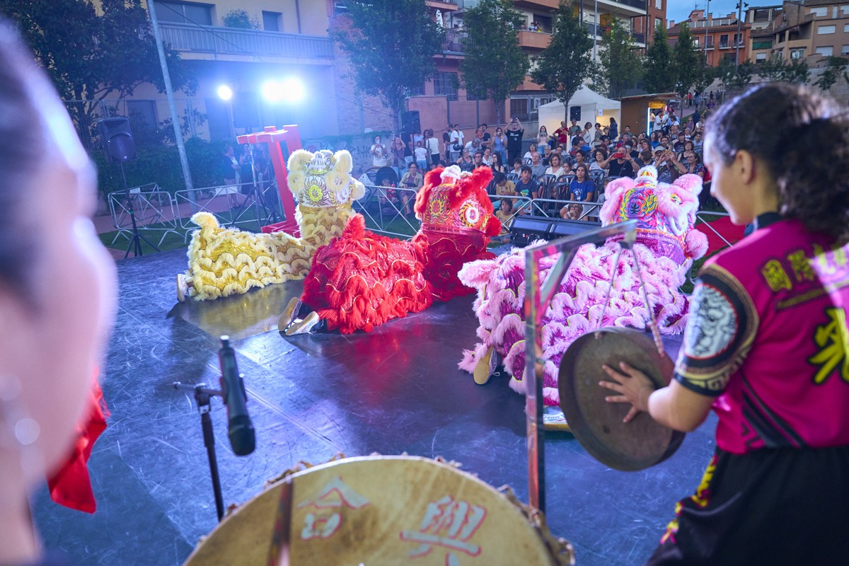 Guanghui Lion and Dragon Dance Association
