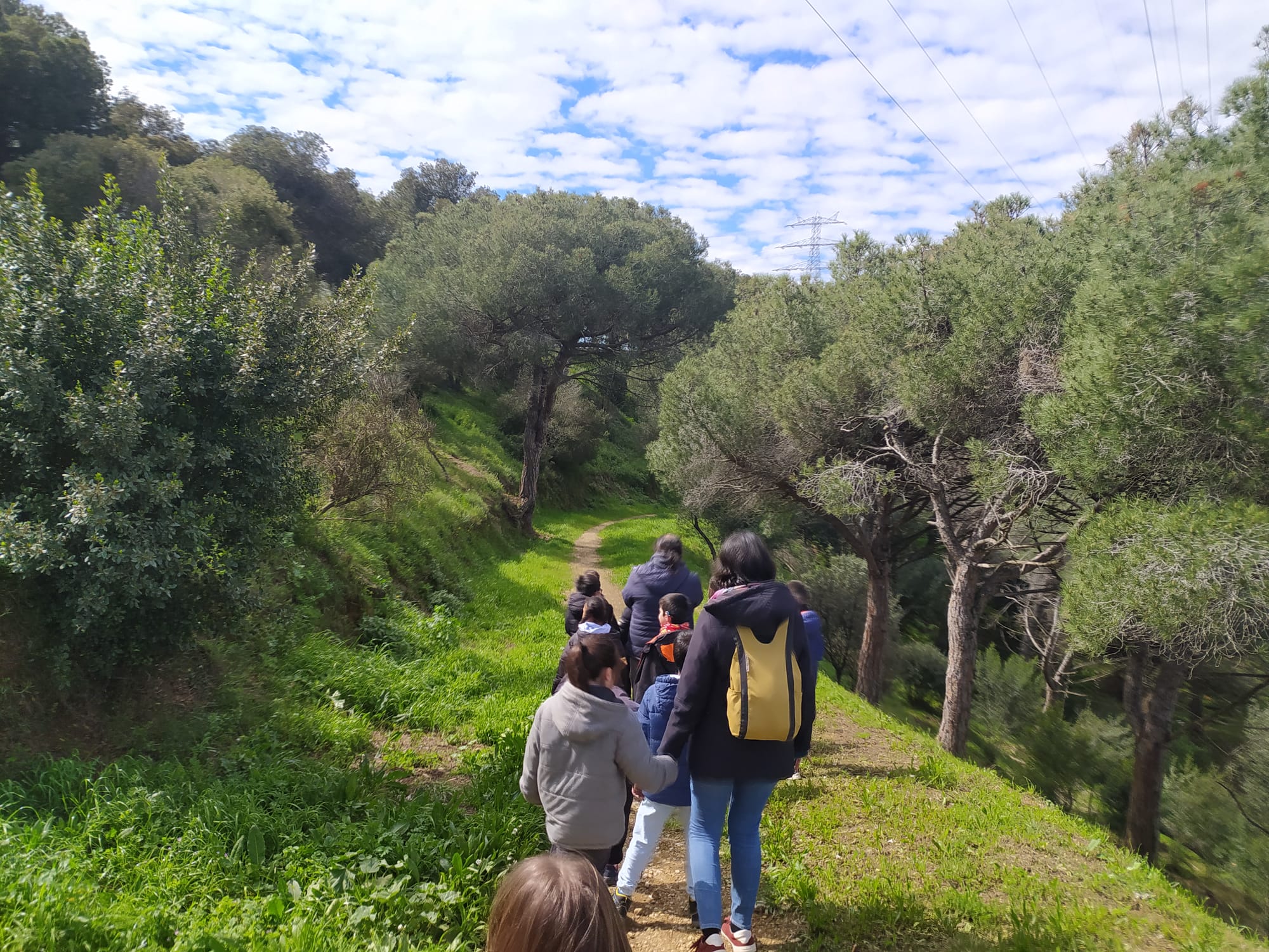 Taller familiar 'Coneguem les papallones'