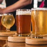 Xerrada amb tast 'Malteria Arbequina: de la terra al got'