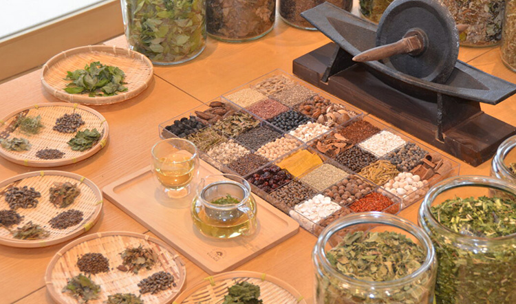 Taller d'infusions i herbres