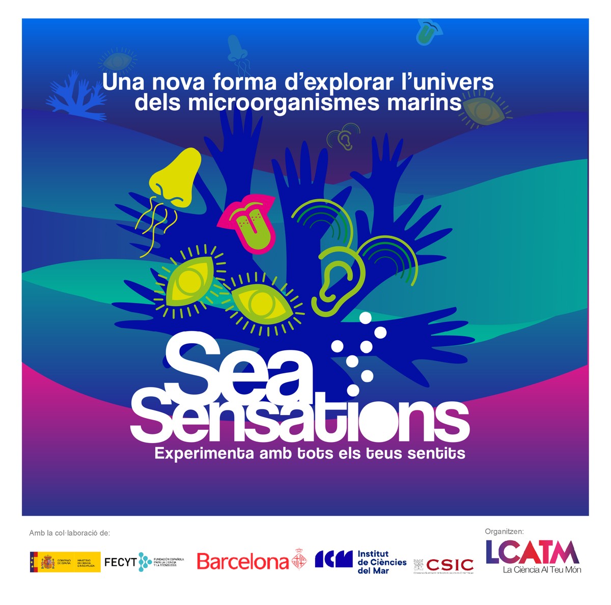 'Seasensations' exhibition