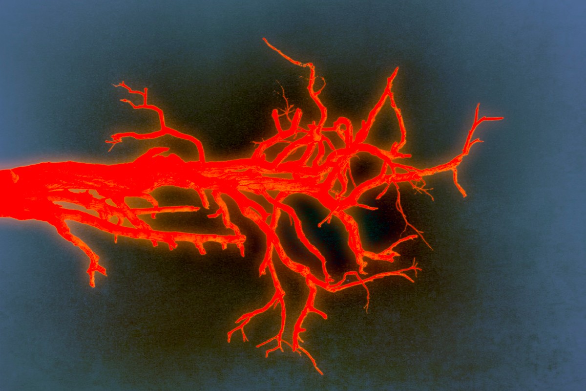 Teatre "Goodbye Europe. Lost words"