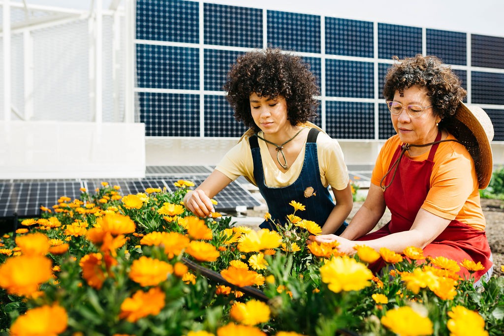 'Let's plant an artistic garden' workshop