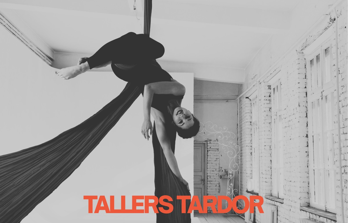 'Introduction to aerials' workshop