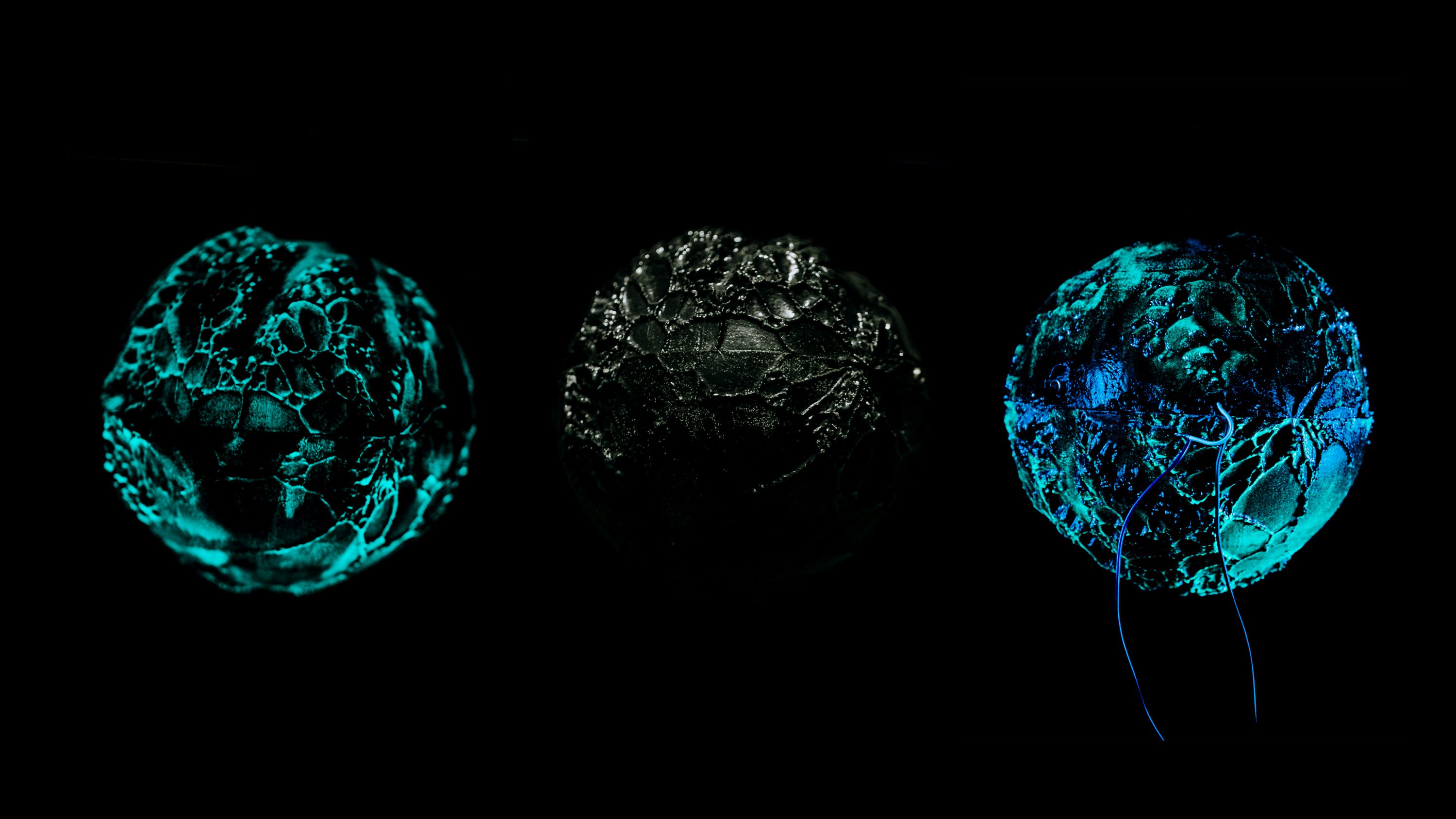 Exposició: Insania, de Heidi Valda