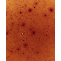 Exhibition 'Material Languages'