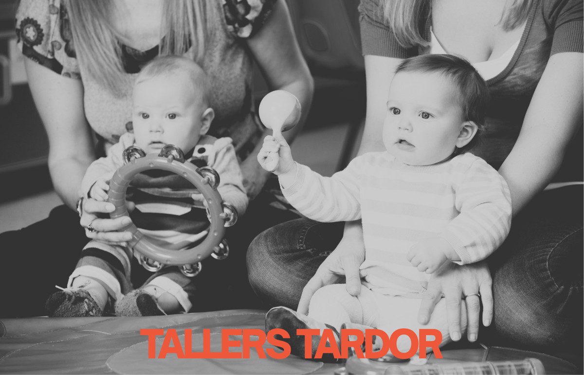 Workshop 'Music for babies (0 to 1 year old)'
