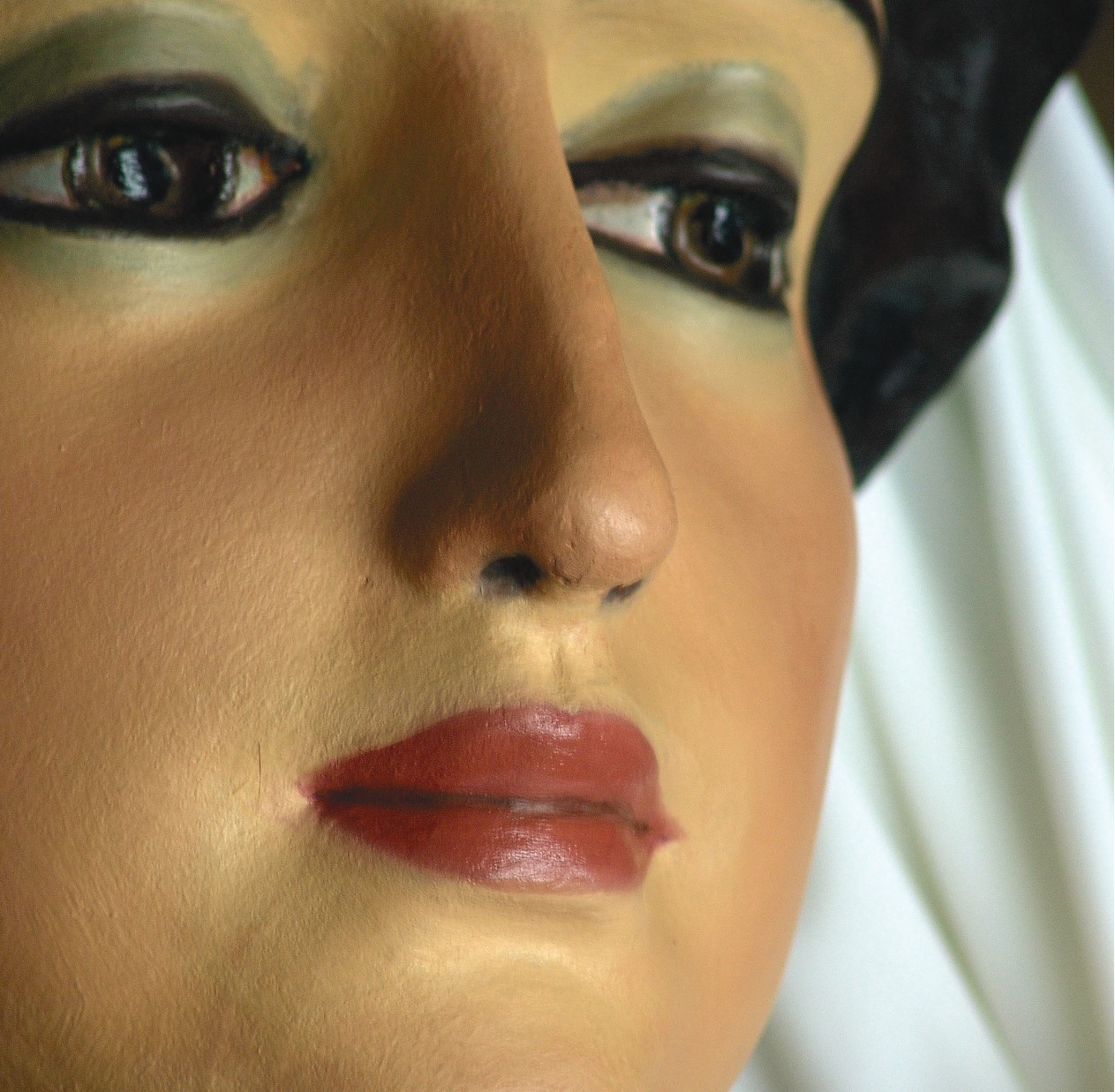 Exposició 'Mirades de Gegant, 110 anys dels Gegants de Sant Roc de la Plaça Nova'