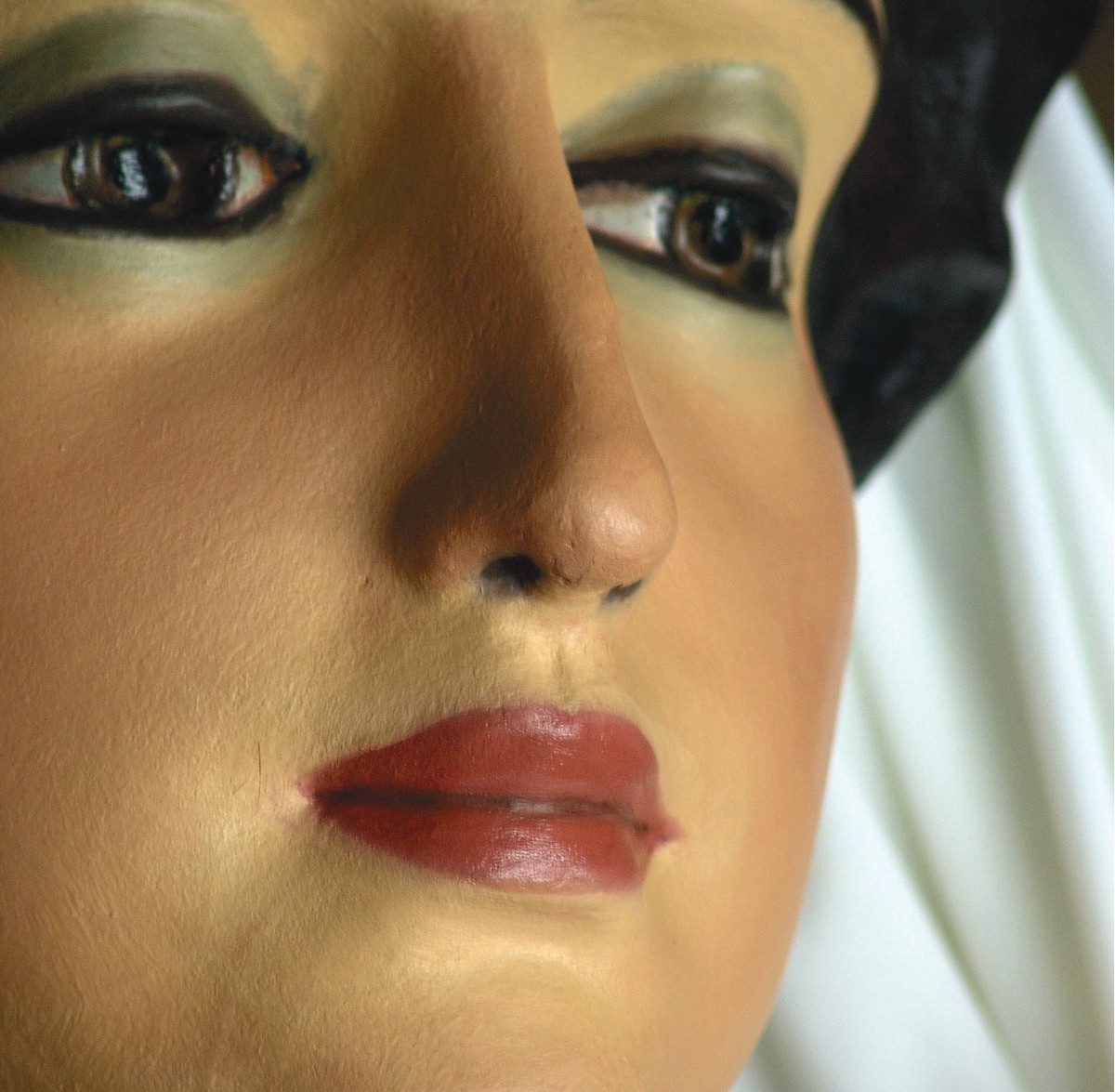 Exposició 'Mirades de Gegant, 110 anys dels Gegants de Sant Roc de la Plaça Nova'