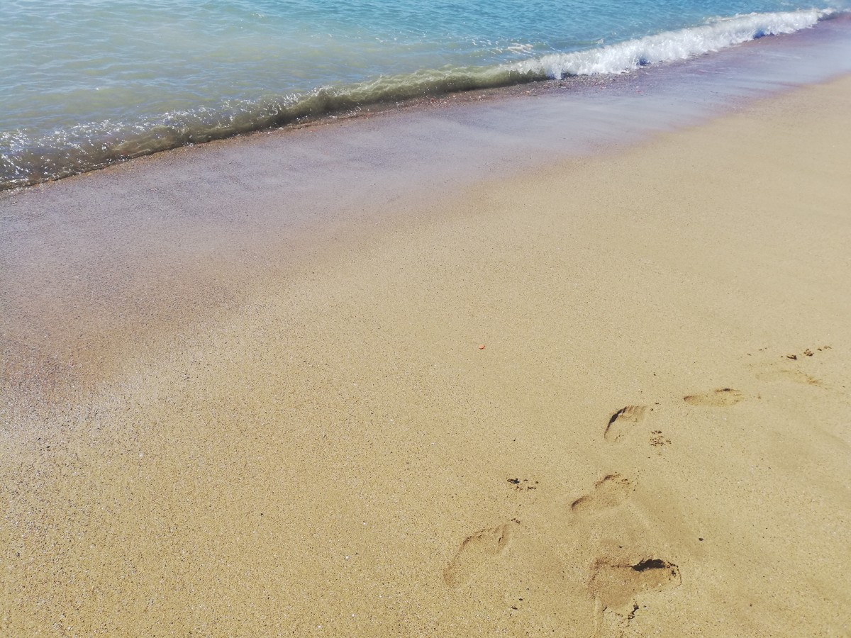 Workshop and talk/debate 'Get your feet wet and... let's talk about marine restoration'