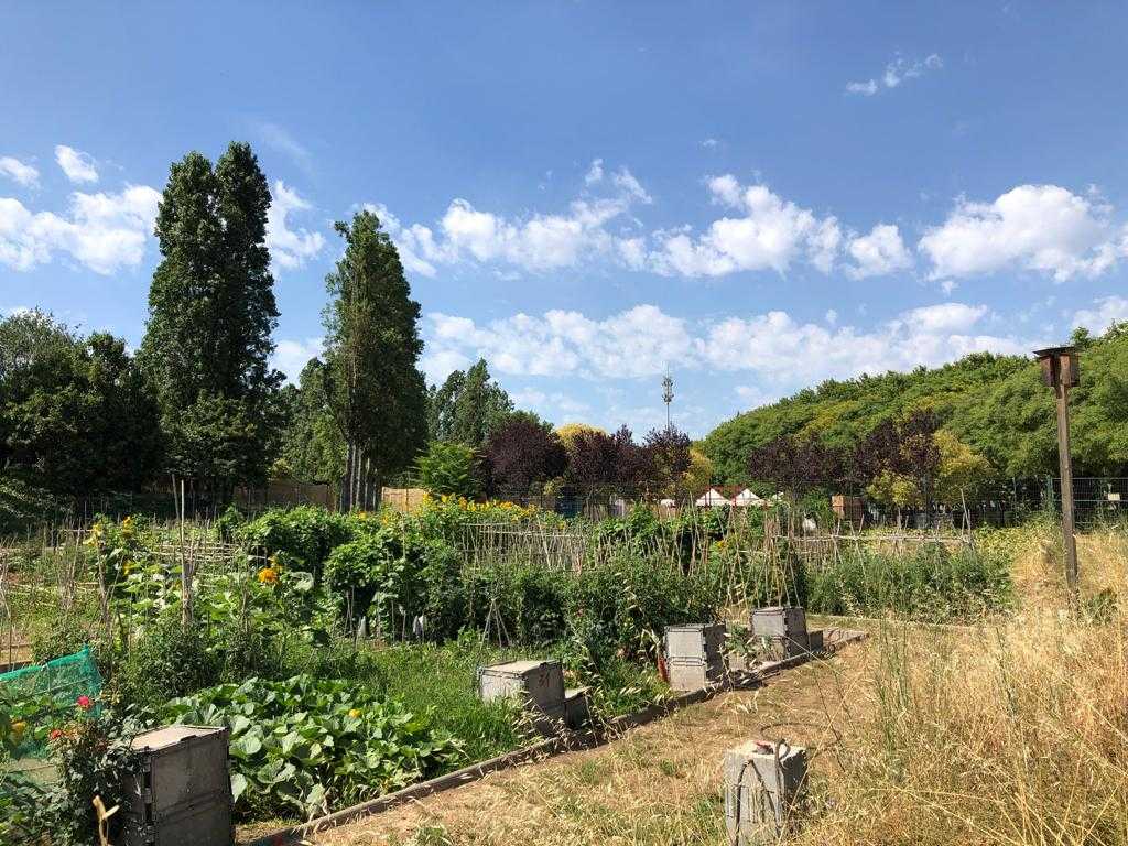 Visita als Horts Urbans Municipals de Trinitat Vella