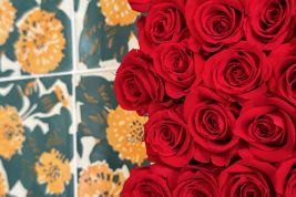 Sant Jordi a la Casa Vicens