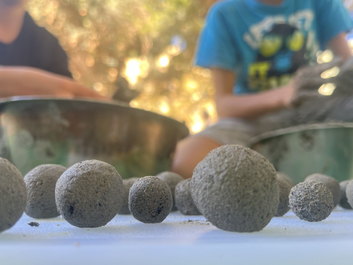 Workshop 'Let's make seed balls for pollinators'