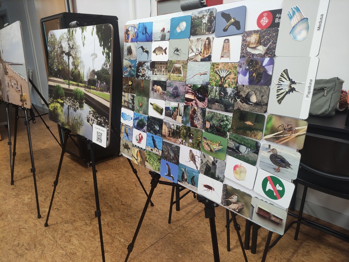 Joc 'Biodiversifica’t'
