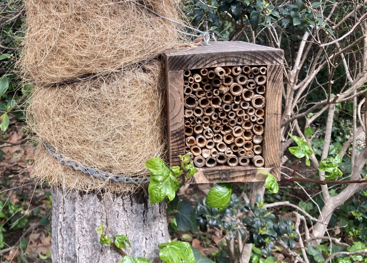 Workshop 'Let's make nests for pollinators with recycled materials'