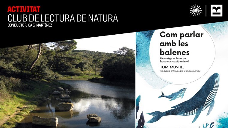 Espai de lectura de natura "Com parlar amb les balenes", de Tom Musti