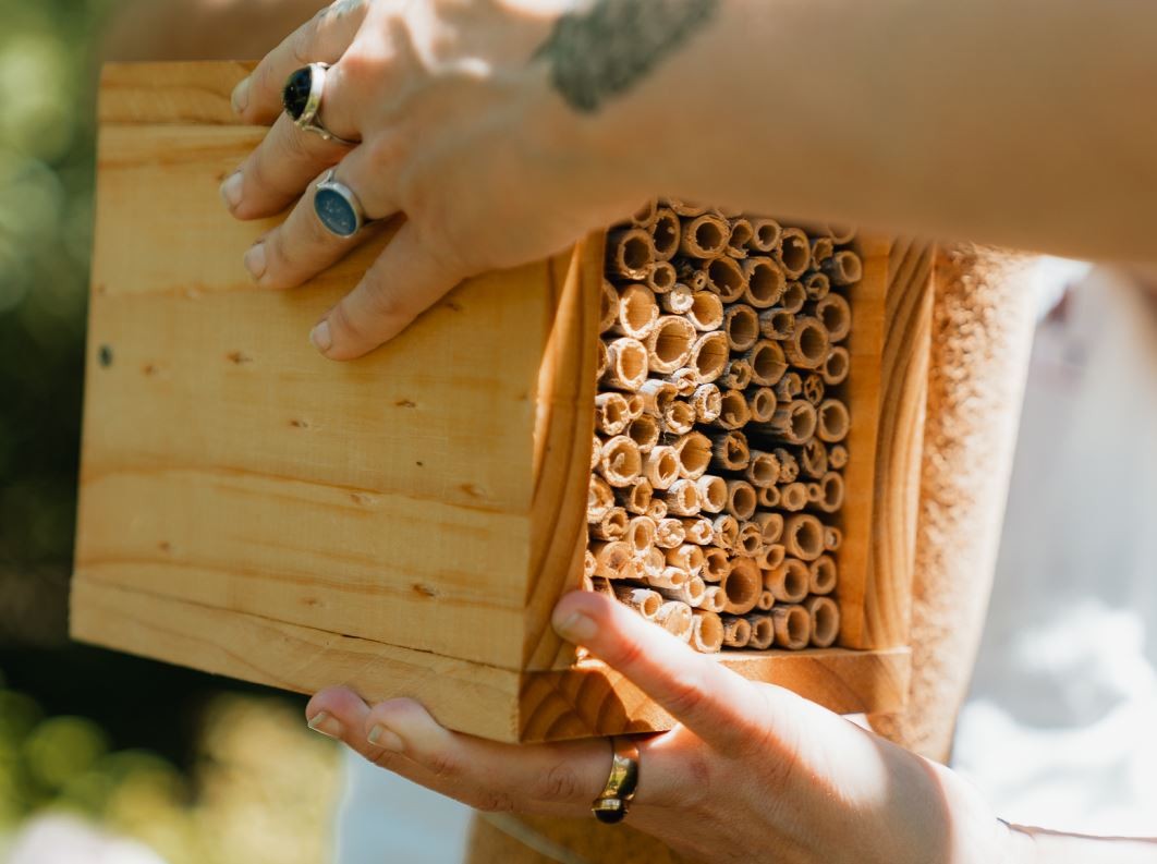 Workshop 'Let's make nests for pollinators with recycled materials'