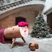 Decoracions Nadalenques al Palau de la Generalitat