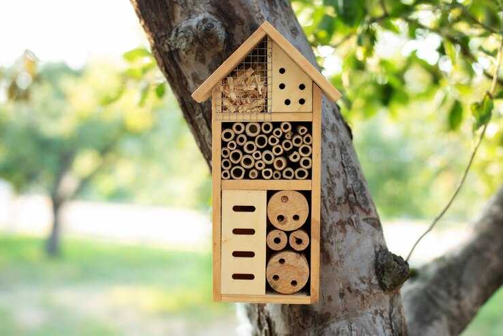 Hotel d’insectes
