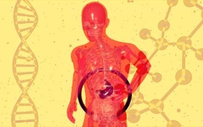 Workshop 'The Night of Research. Decoding the Cancer Code: The Cancer Detective'
