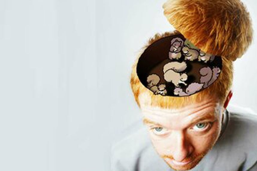 Espectacle "Ardillas en la cabeza", amb Alex Ayres