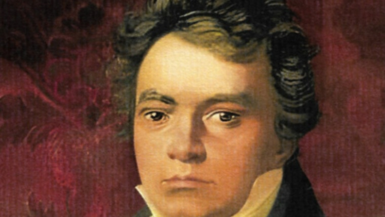 Image for Espectacle "Beethoven" at Teatre La Fàbrica
